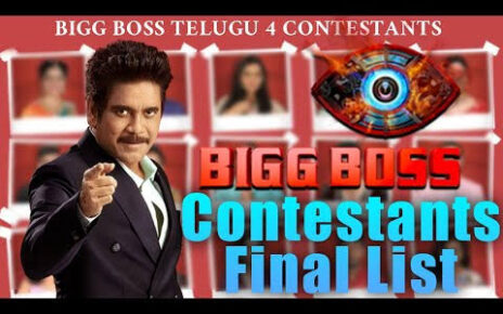 Big Boss 4 telugu contestants final list